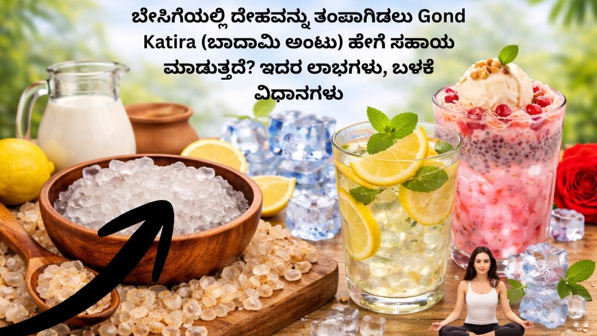 gond katira gond katira meaning in kannada