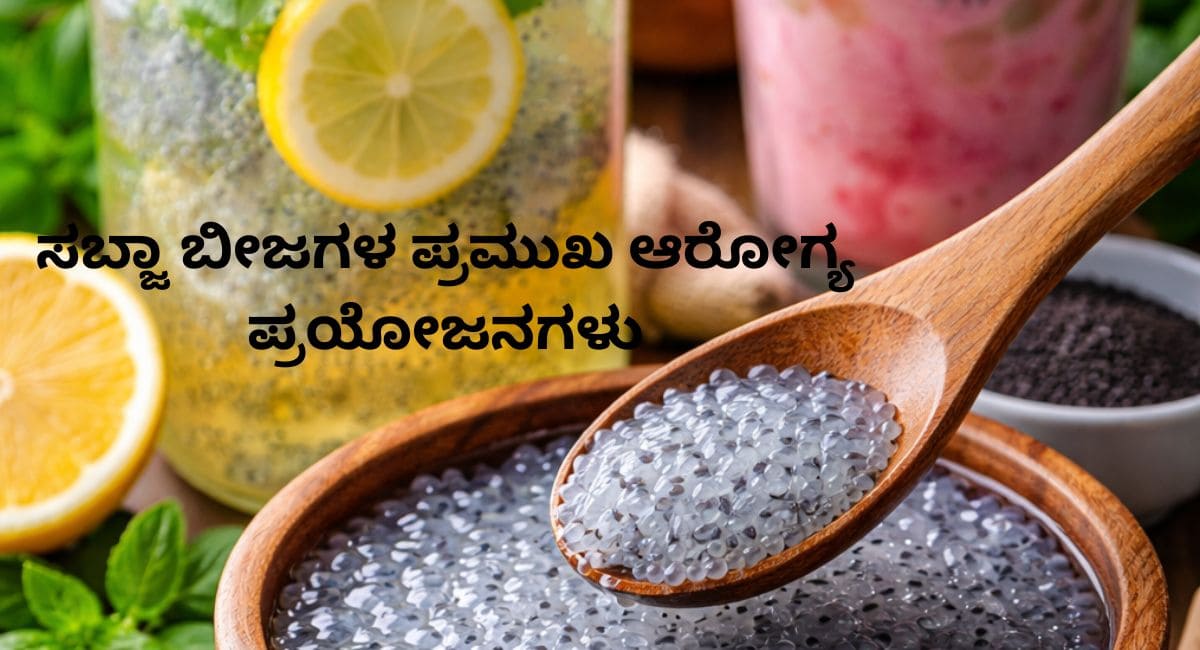 sabja seeds sabja seeds health benifits in kannada