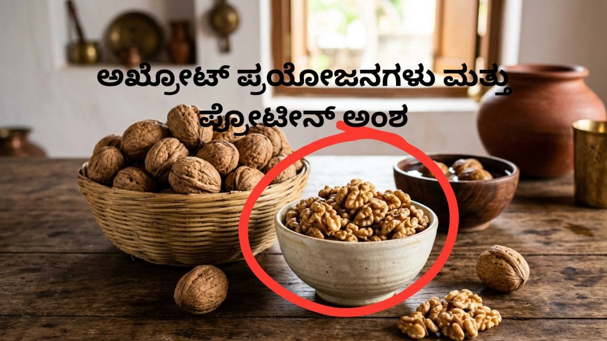 walnut benefits in kannada what is walnut in kannada walnut totla protein