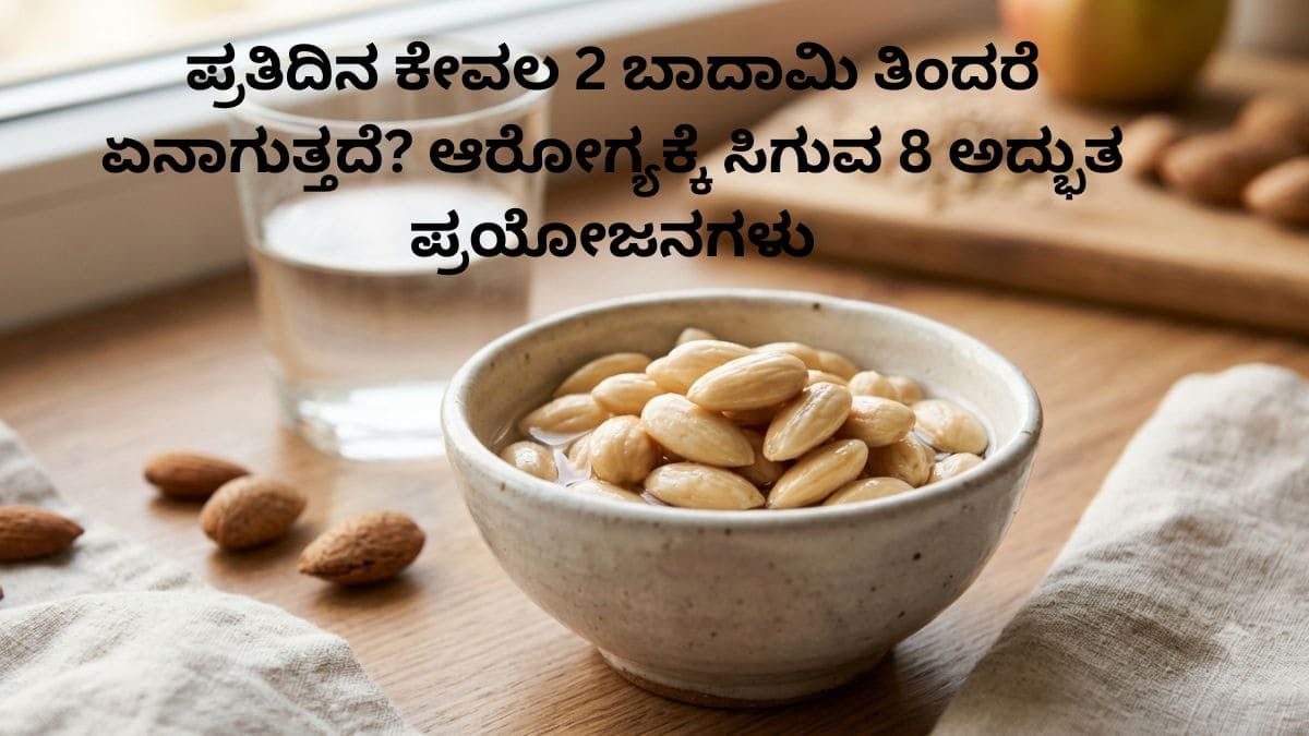 ಬಾದಾಮಿ ಆರೋಗ್ಯ ಲಾಭಗಳು ಪ್ರತಿದಿನ 2 ಬಾದಾಮಿ ತಿನ್ನುವುದರ ಪ್ರಯೋಜನಗಳು ನೆನೆಸಿದ ಬಾದಾಮಿ ಪ್ರಯೋಜನಗಳು